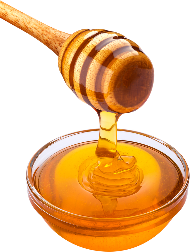 Honey Dipper and Bowl of Pouring Honey